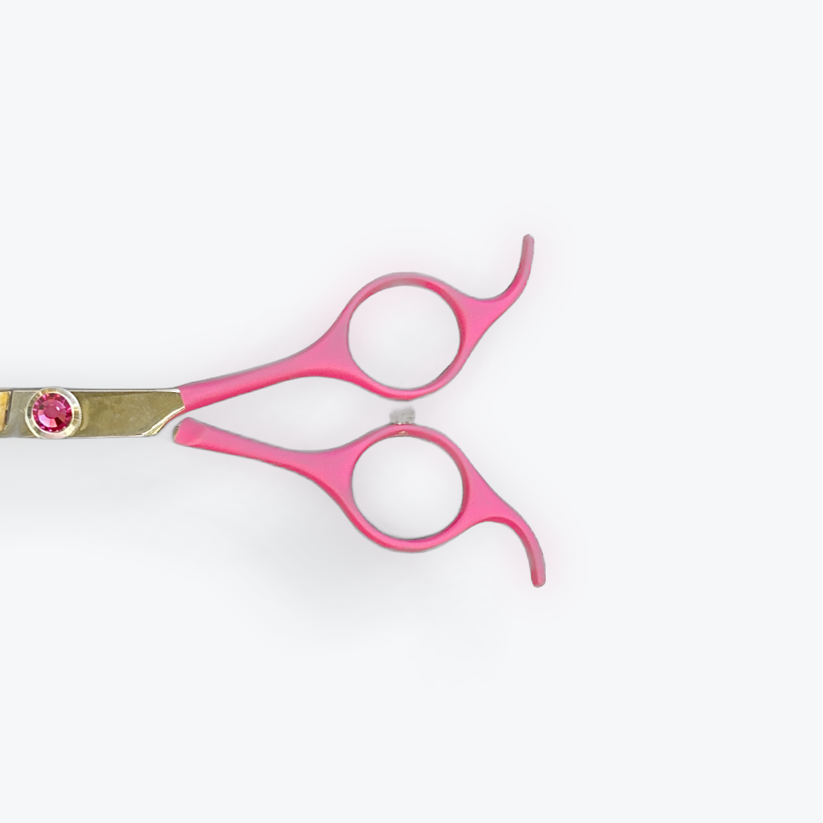 Asian Fusion 6.5" Curve