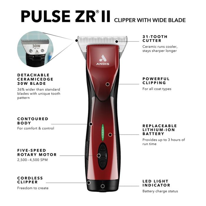 Pulse ZR II Red