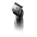 Pulse ZR II Galaxy