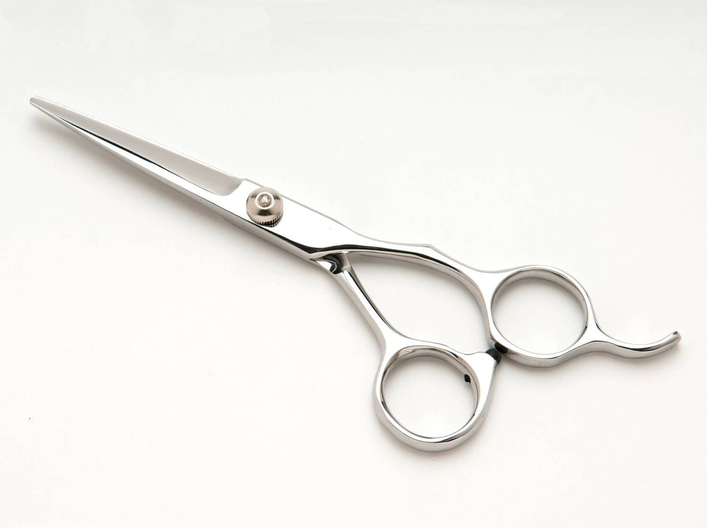 Mannequin Shears or Thinners
